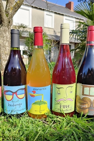 Intellego wines